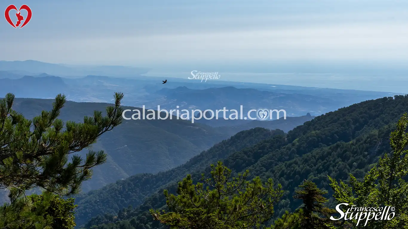 Versante nordest dell'Aspromonte: dalla Valle del Bonamico alla Costa dei Gelsomini Versante nordest dell'Aspromonte: dalla Valle del Bonamico alla Costa dei Gelsomini