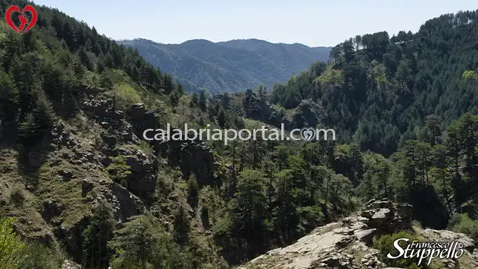 Aspromonte