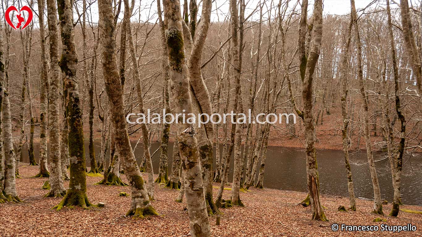 Scorcio della Catena Costiera - Appennino Paolano Scorcio della Catena Costiera - Appennino Paolano