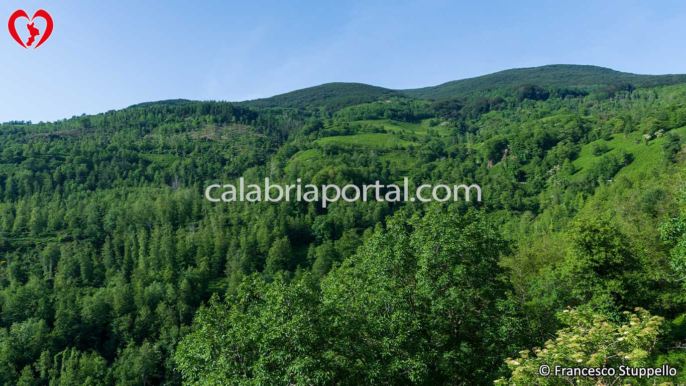 Monte Serra Pantalonata