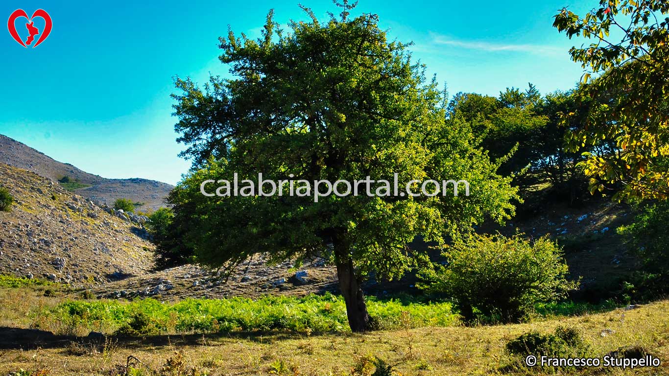 Paesaggio del Monte Ciagola Paesaggio del Monte Ciagola