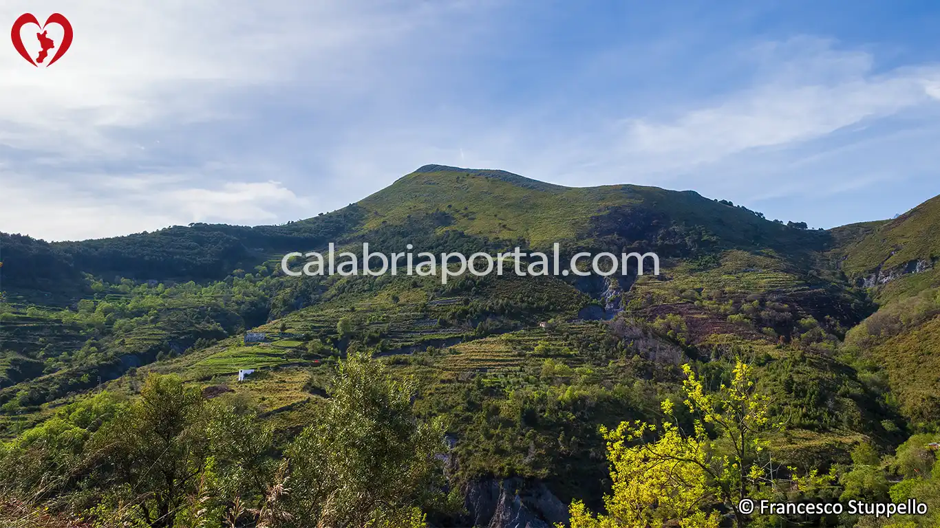 Monte Cifolo Monte Cifolo
