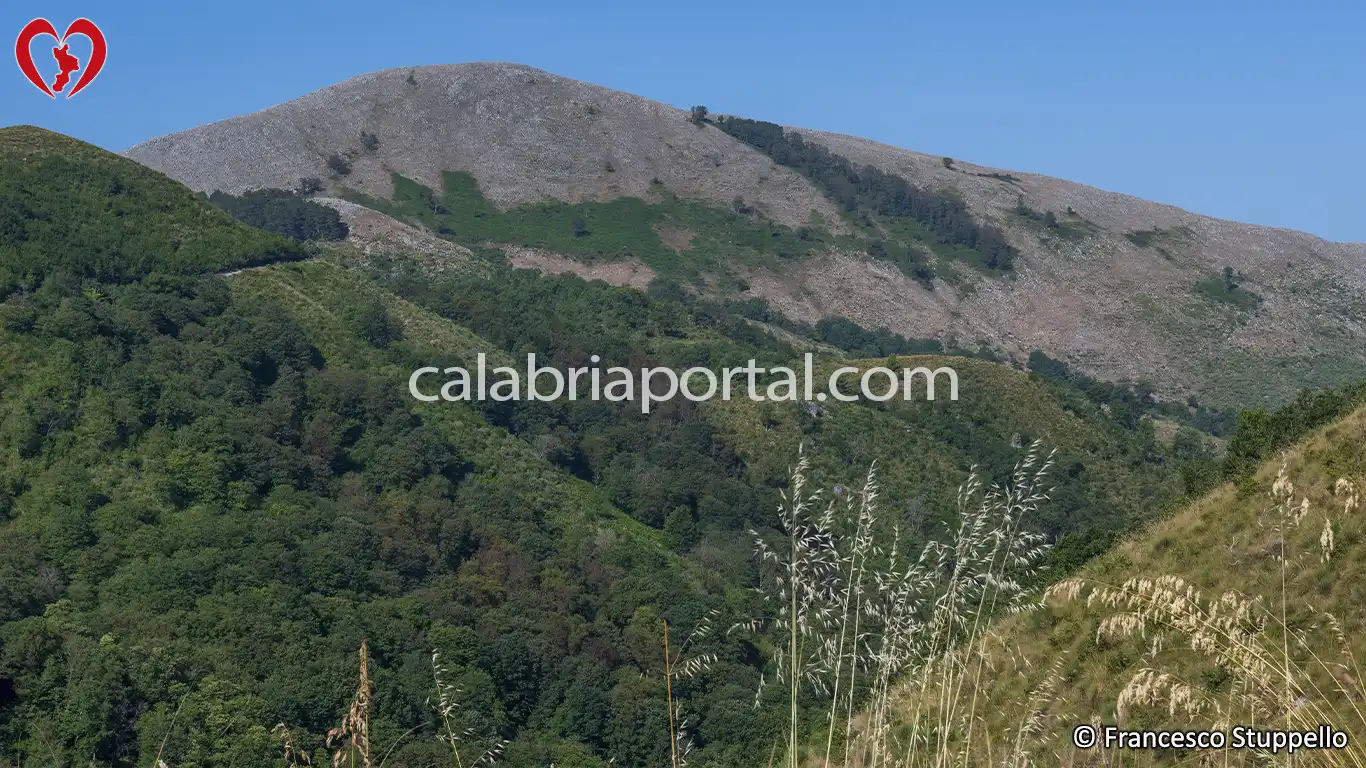 Il Monte Cifolo di Tortora Il Monte Cifolo di Tortora