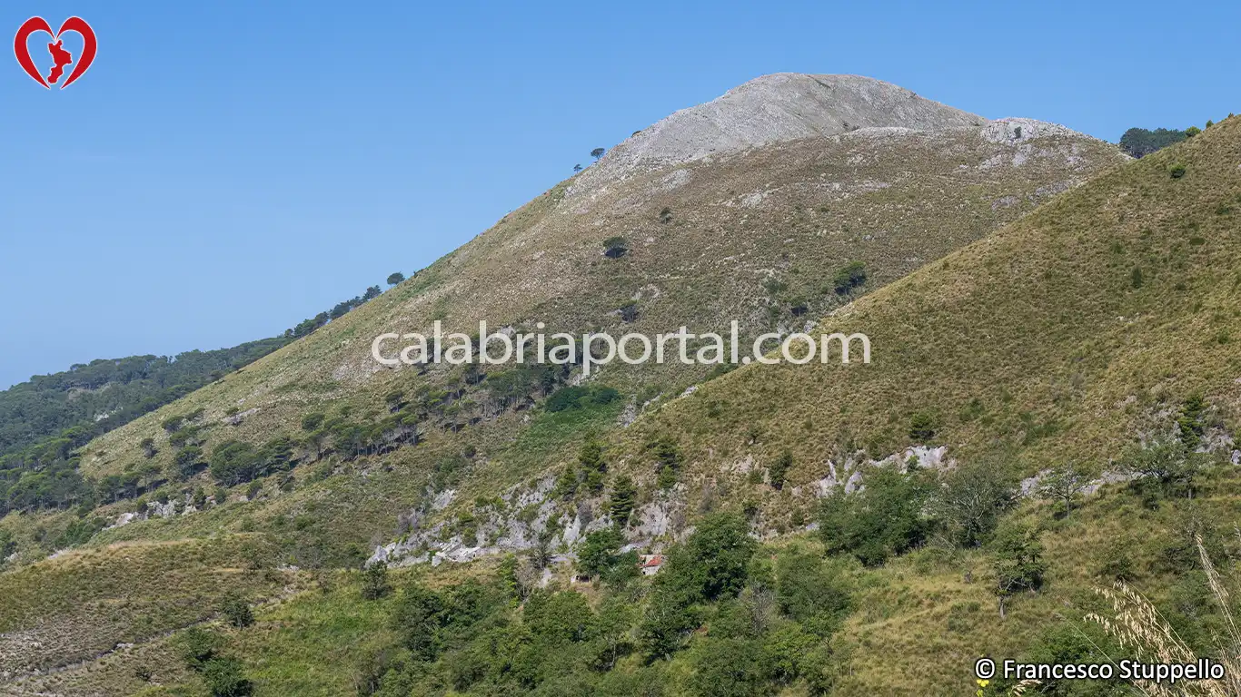Il Monte Cifolo di Tortora Il Monte Cifolo di Tortora