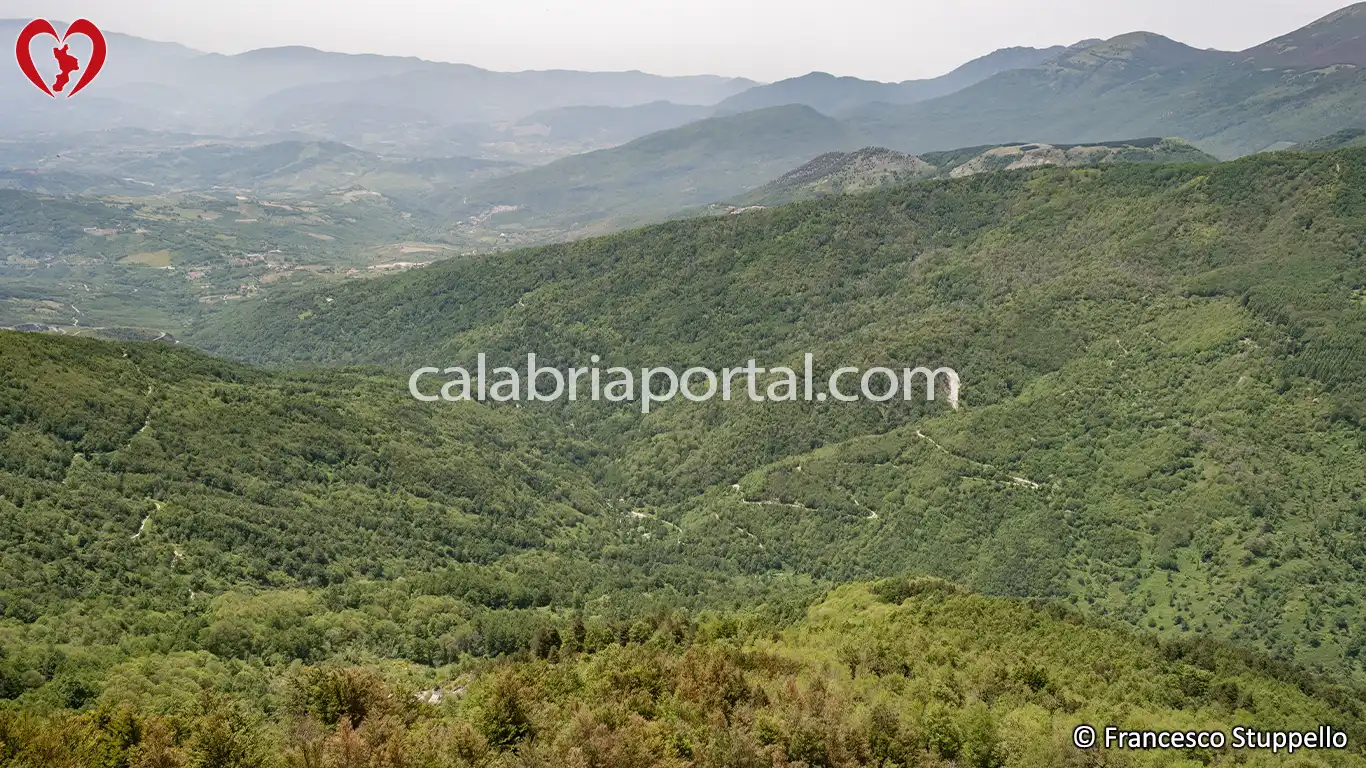 La Valle del Torrente Grondo