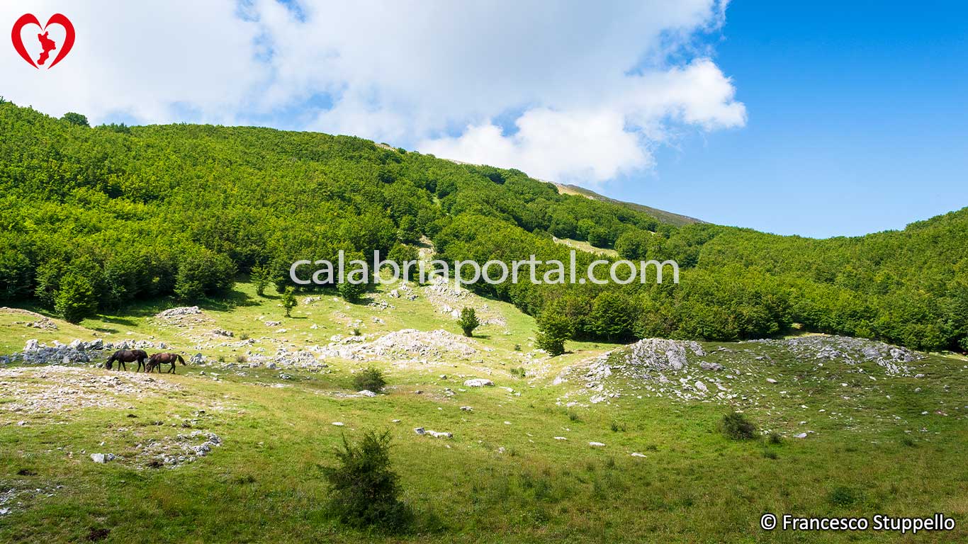 Escursione sul Cozzo del Pellegrino