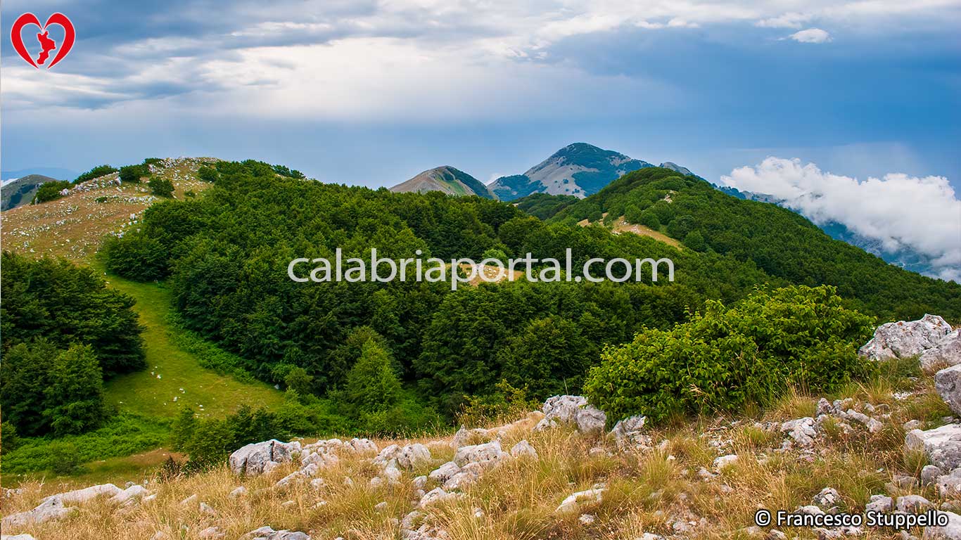 Monte Gada Monte Gada