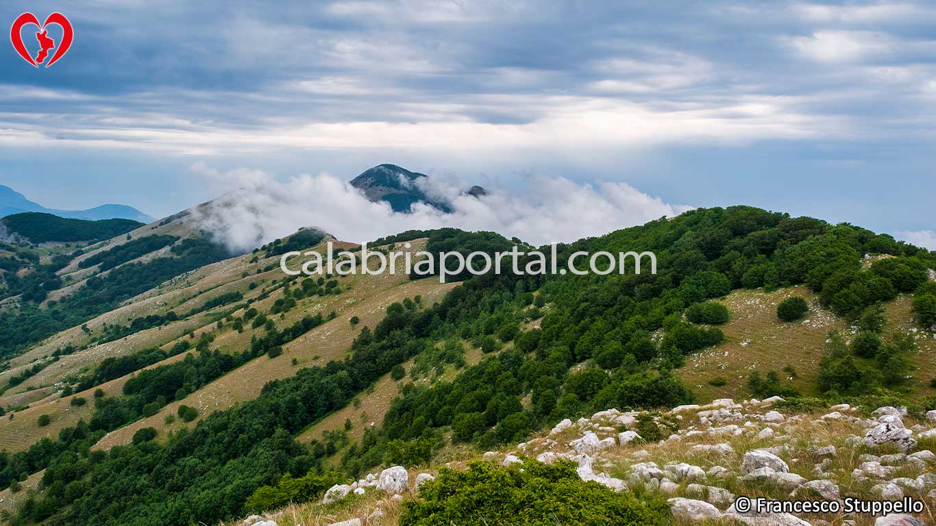 Monte Gada Monte Gada