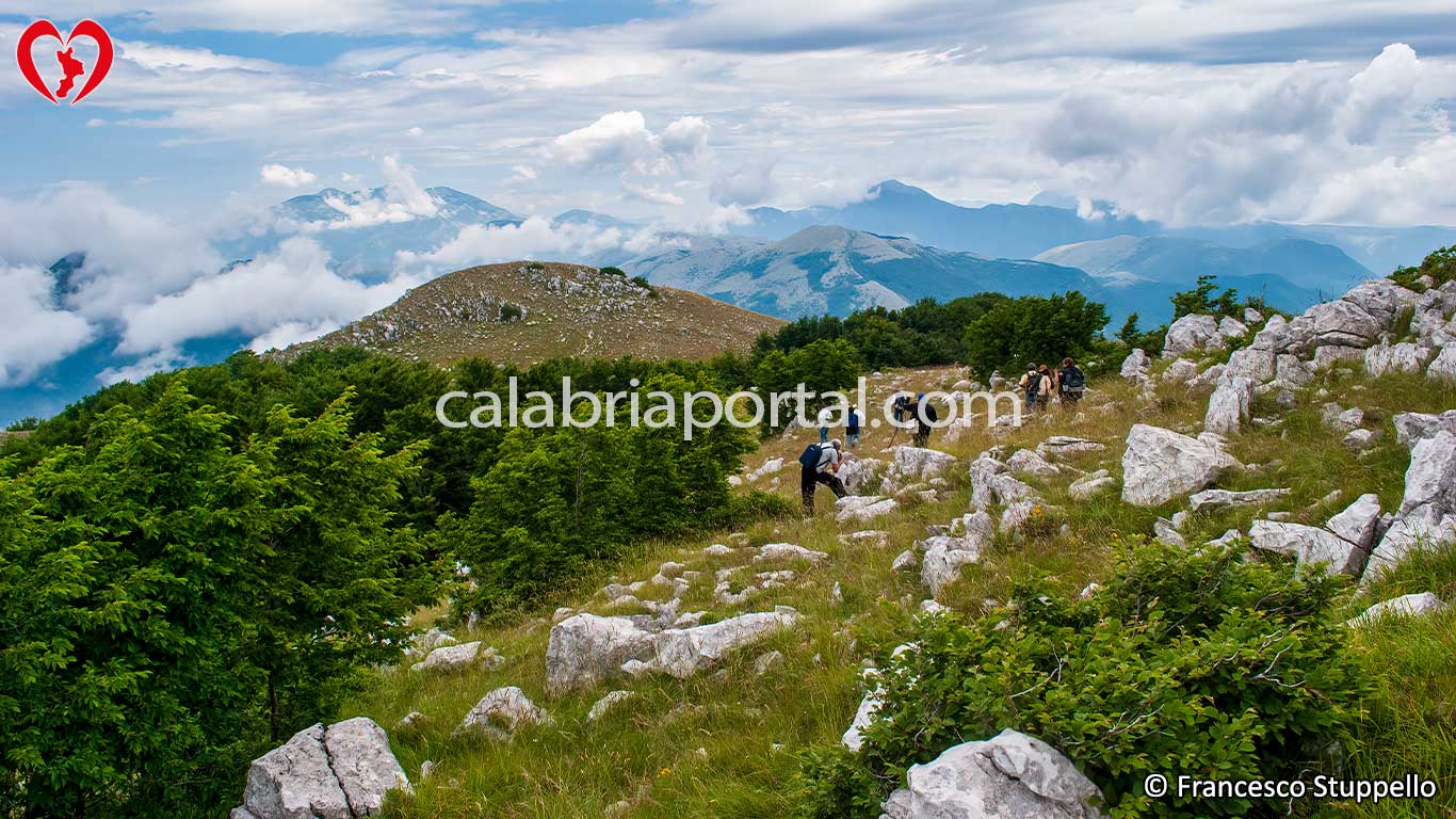 Monte Gada Monte Gada