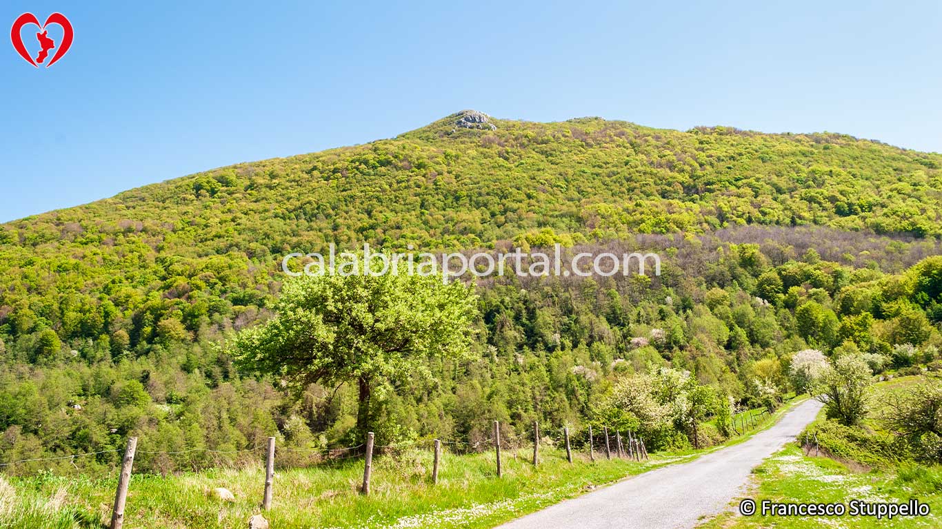 Monte Gada Monte Gada