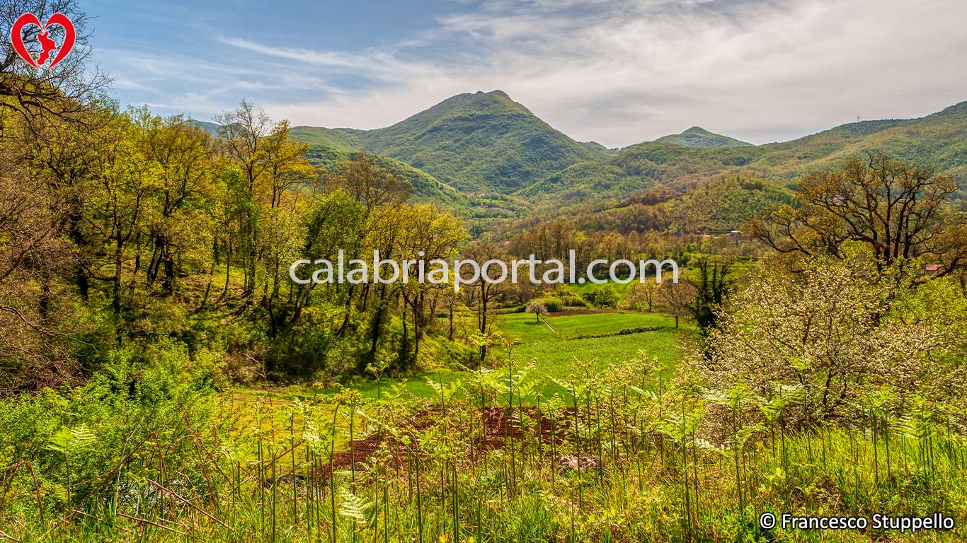 Monte Gada Monte Gada