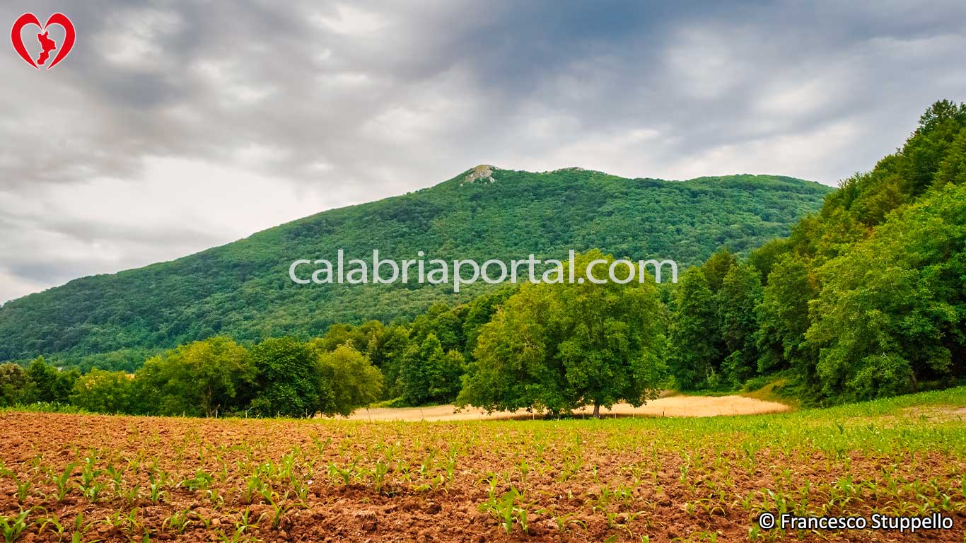 Monte Gada Monte Gada