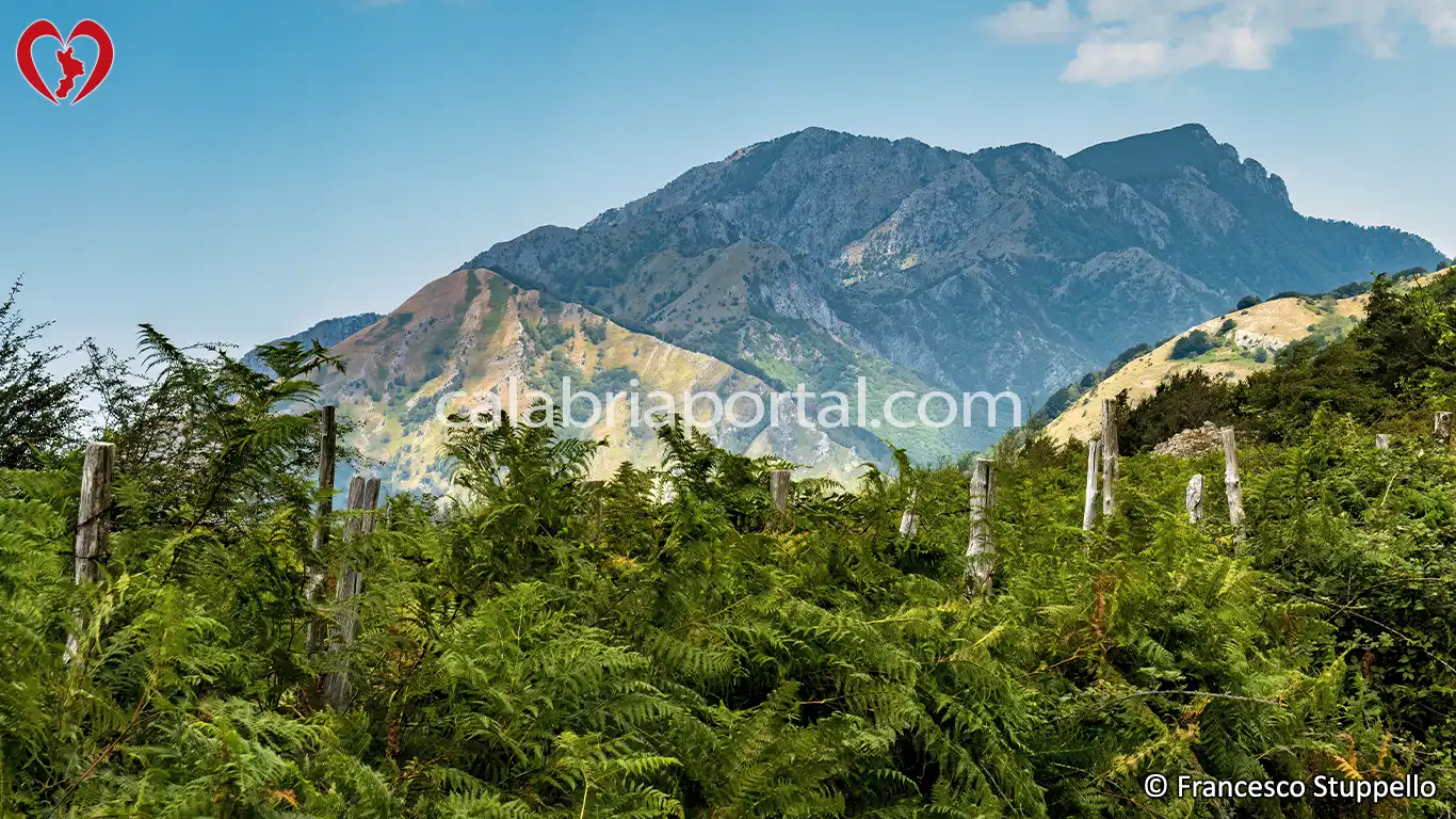 Il Monte La Caccia