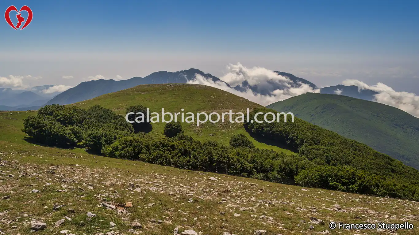 Monte La Mula (Calabria) cosa vedere, fare, turismo