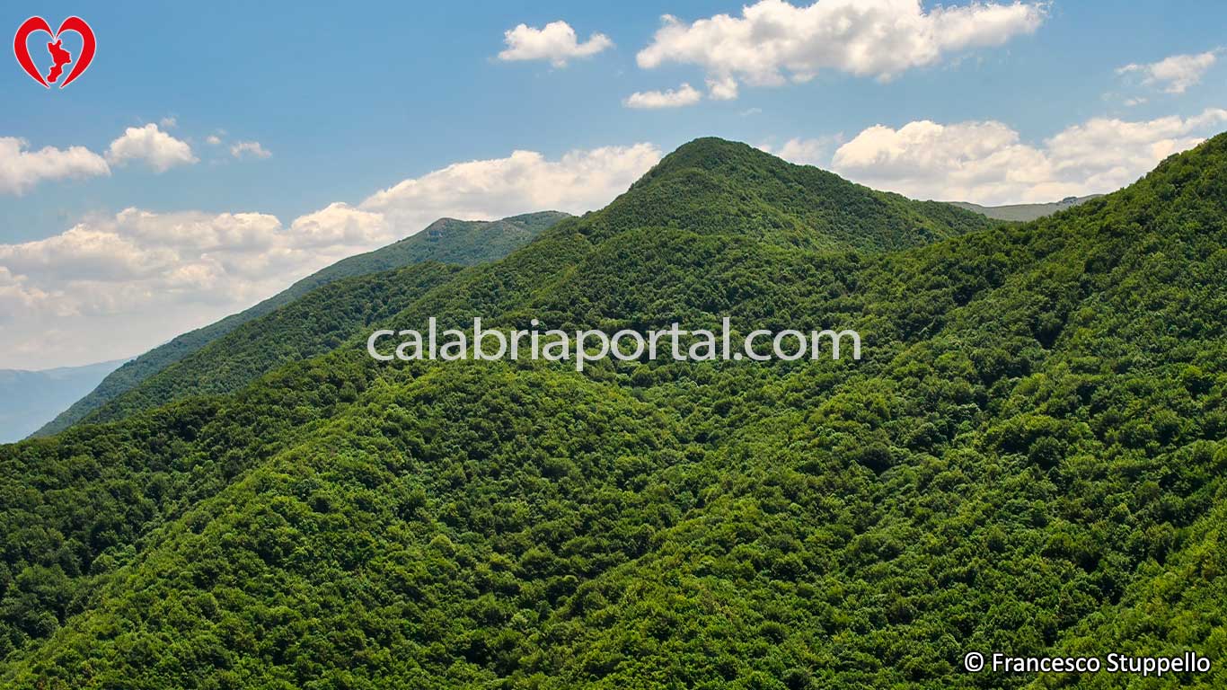 Monte Rosello