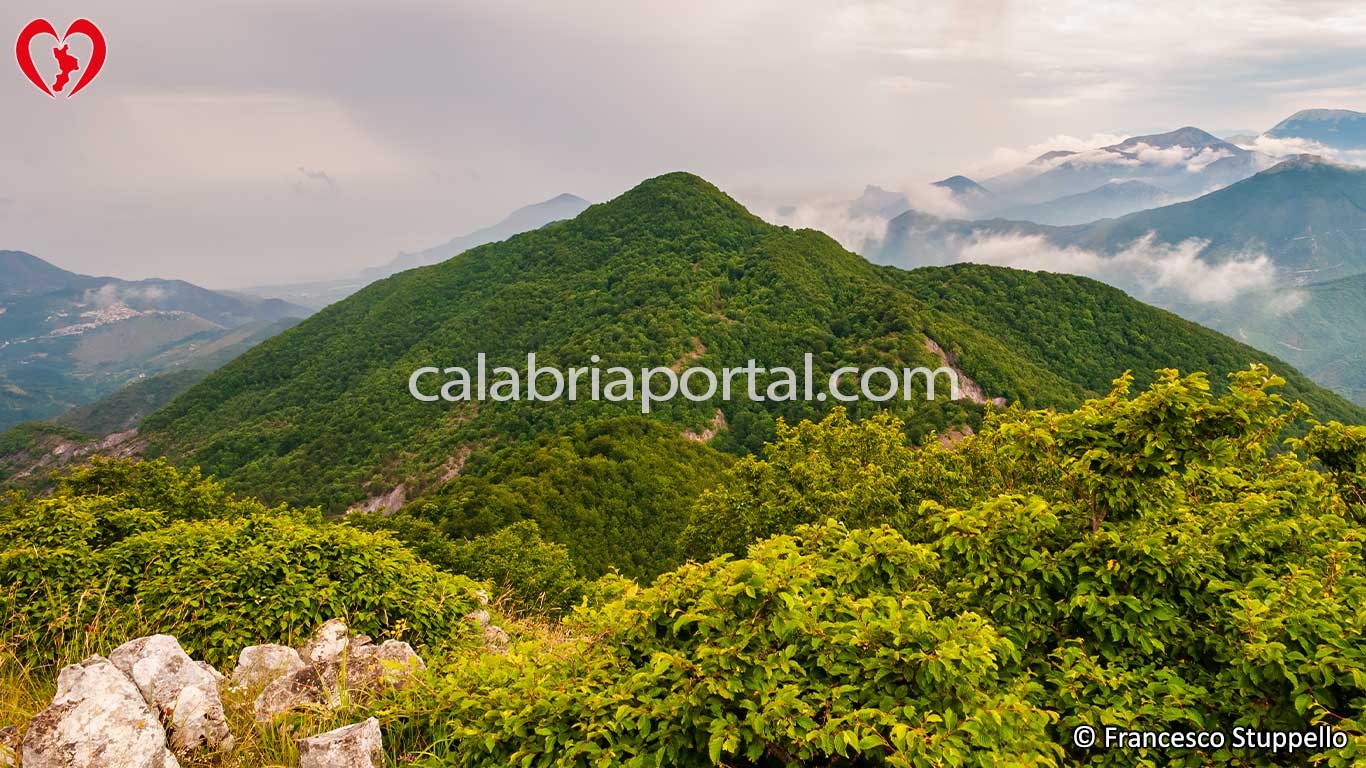 Monte Rosello