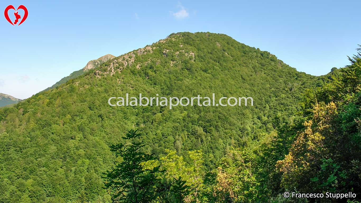 Monte Serra di Scarpaleggia