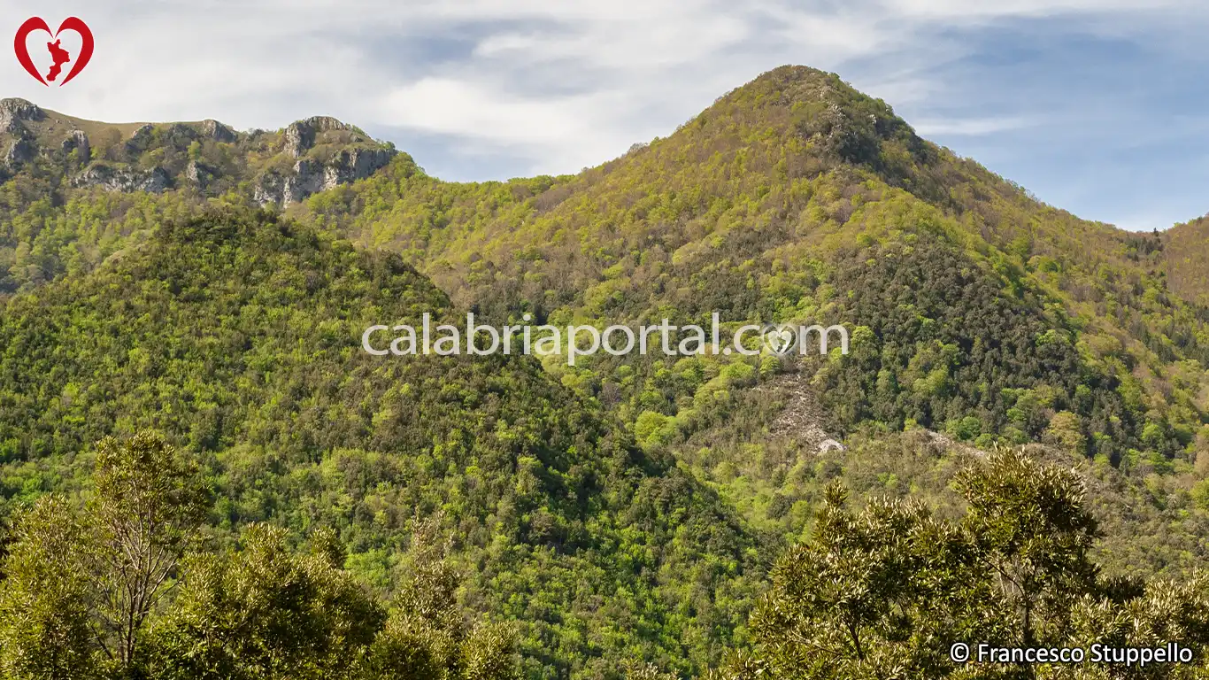 Scorcio della Serra di Scarpaleggia