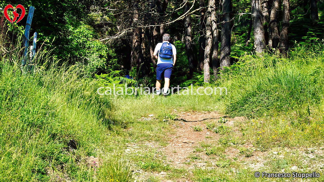 Escursione sul Monte Serramale Escursione sul Monte Serramale