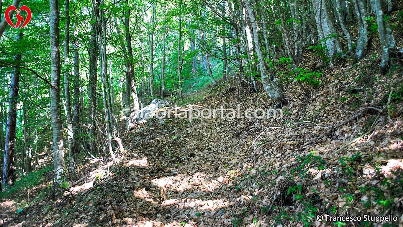 Escursione sul Monte Serramale Escursione sul Monte Serramale