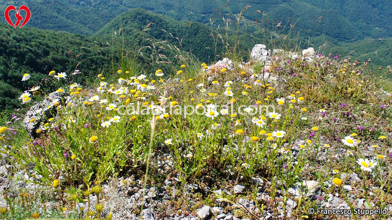 Escursione sul Monte Serramale Escursione sul Monte Serramale