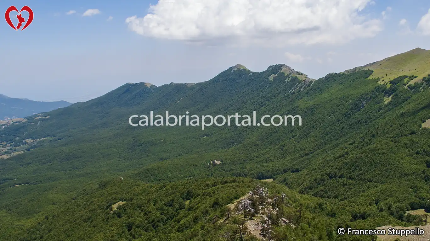 Il Versante Nord e il Bosco della Fagosa visto dal Serra delle Ciavole Il Versante Nord e il Bosco della Fagosa visto dal Serra delle Ciavole