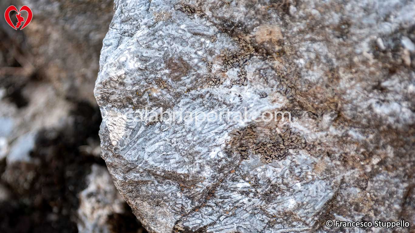 Massiccio del Pollino cosa vedere, fare, turismo