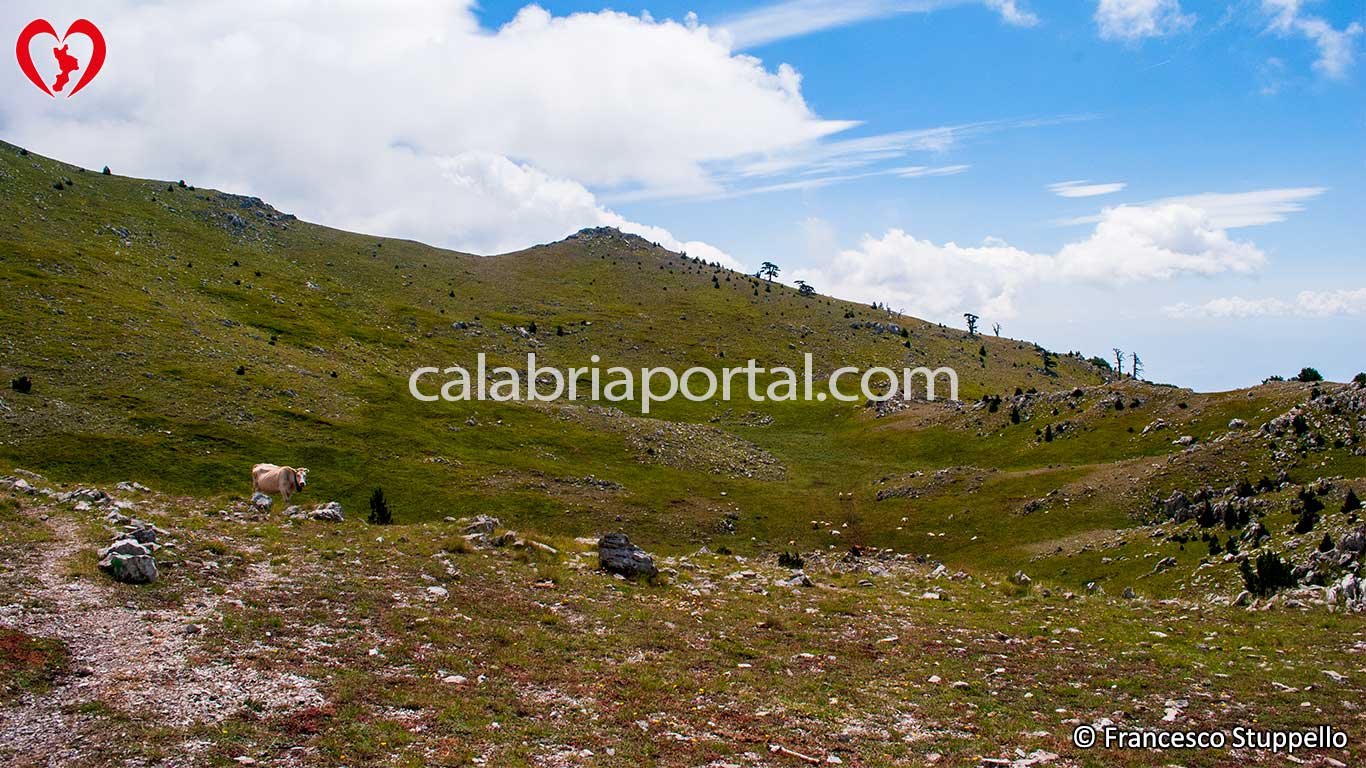 Pollino: La Dolina del Pollinello