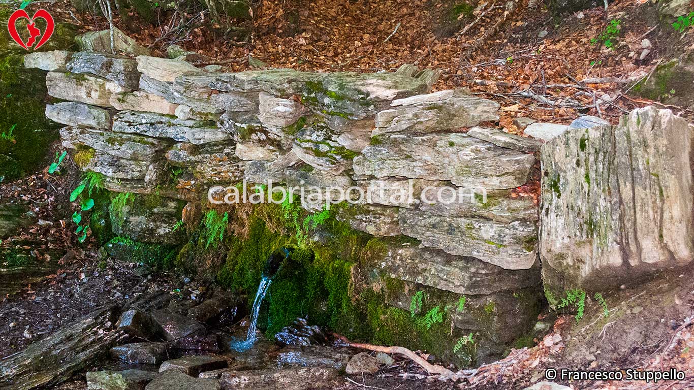 Pollino: Sorgente di Spezzavummula