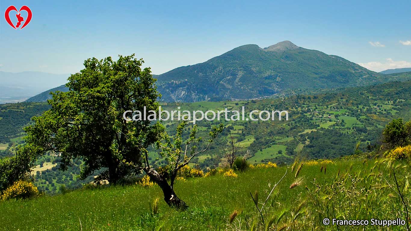 Monte Sellaro