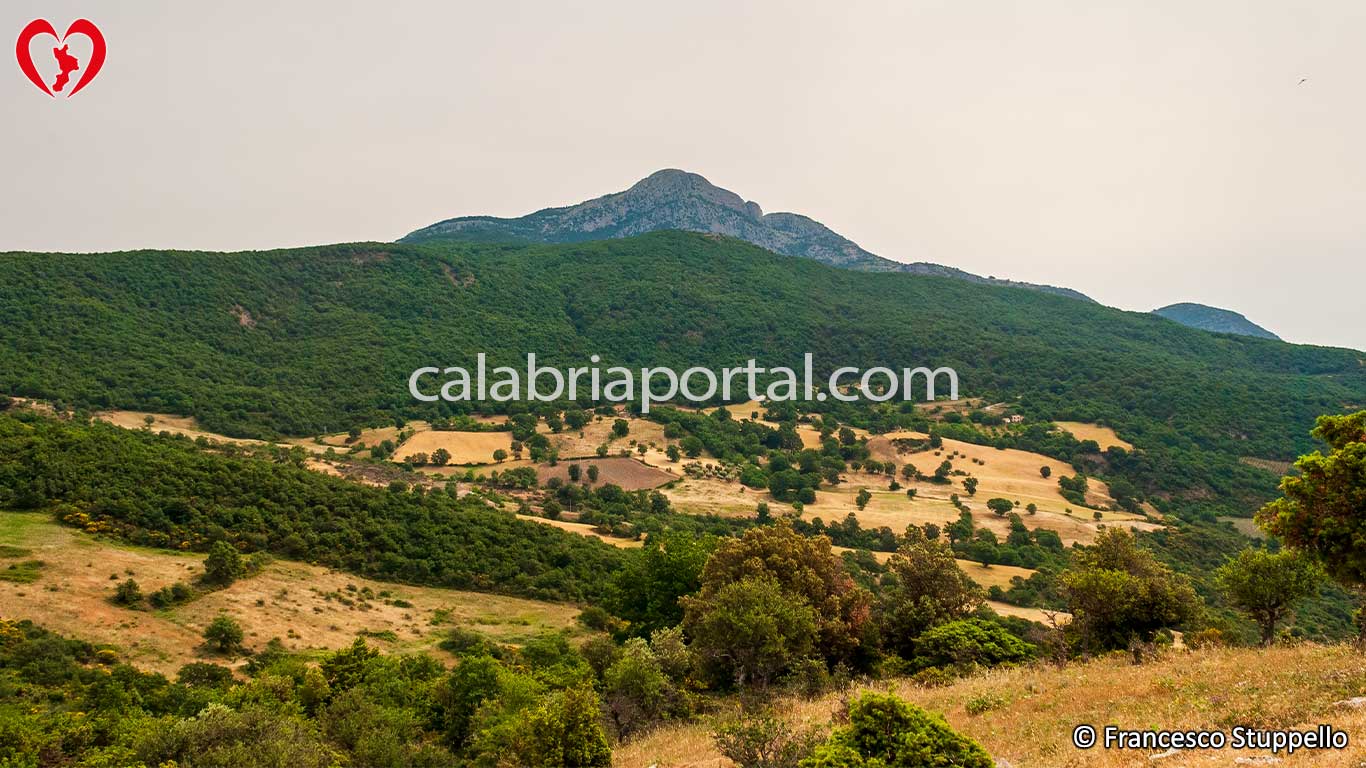 Monte Sellaro
