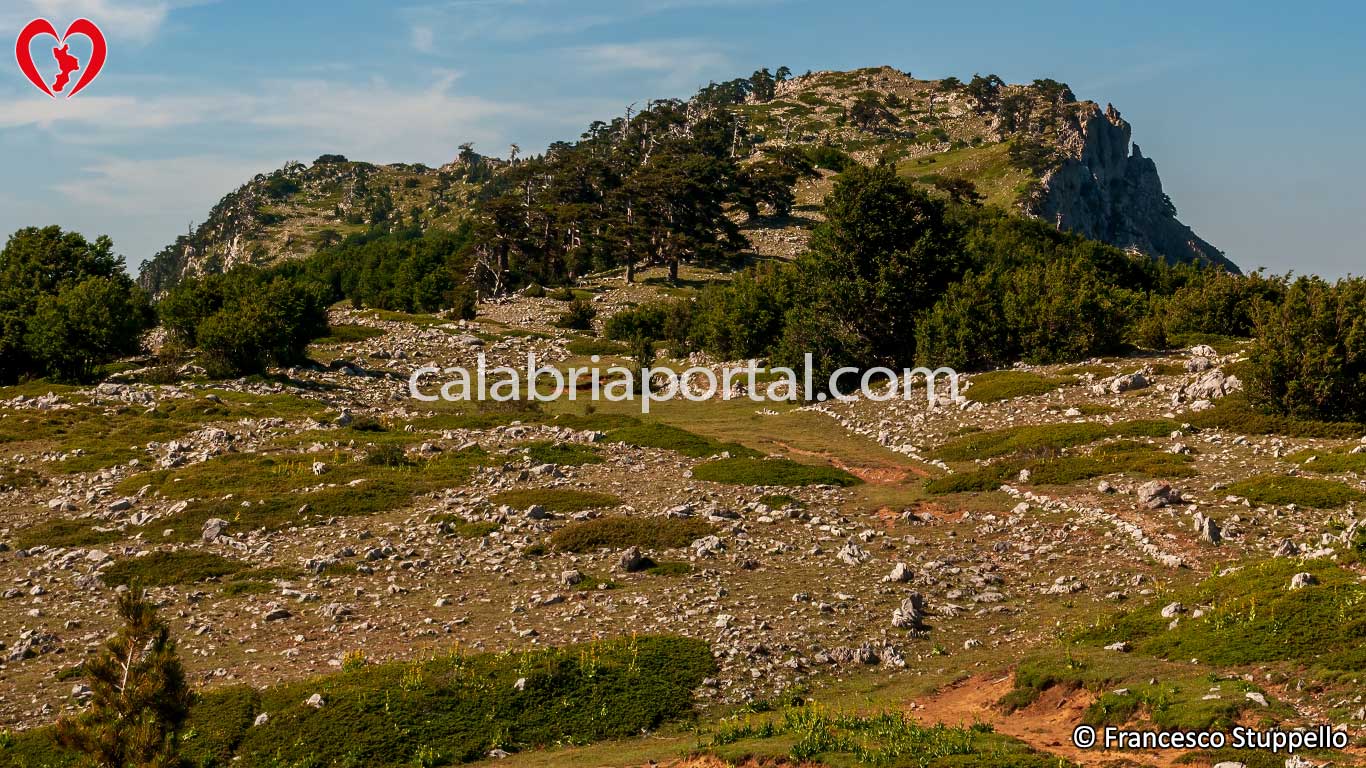 Monte Serra di Crispo