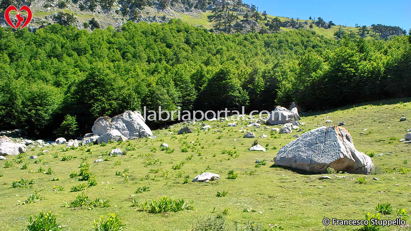 Escursione sul Monte Serra delle Ciavole Escursione sul Monte Serra delle Ciavole