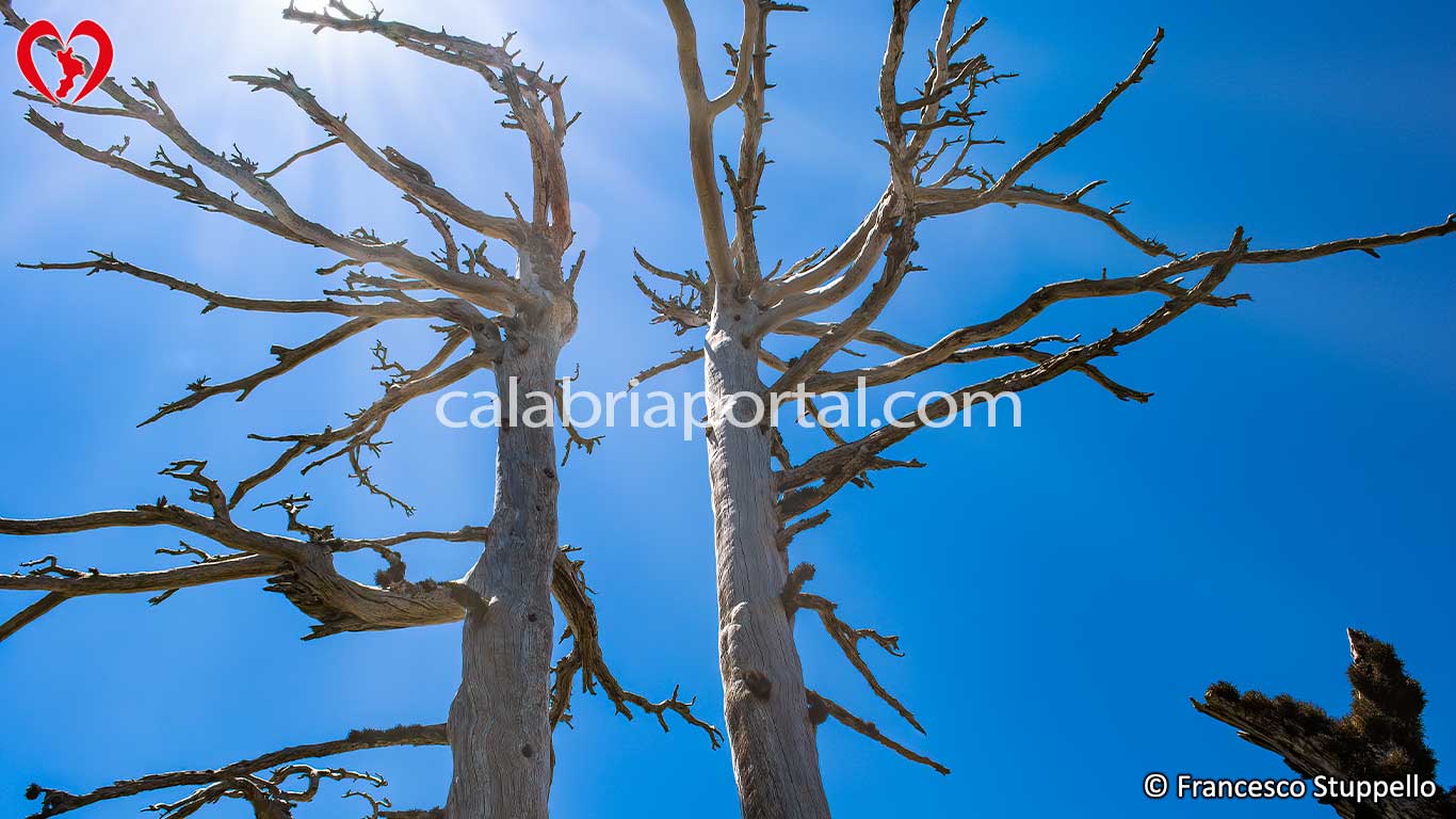 Escursione sul Monte Serra delle Ciavole Escursione sul Monte Serra delle Ciavole