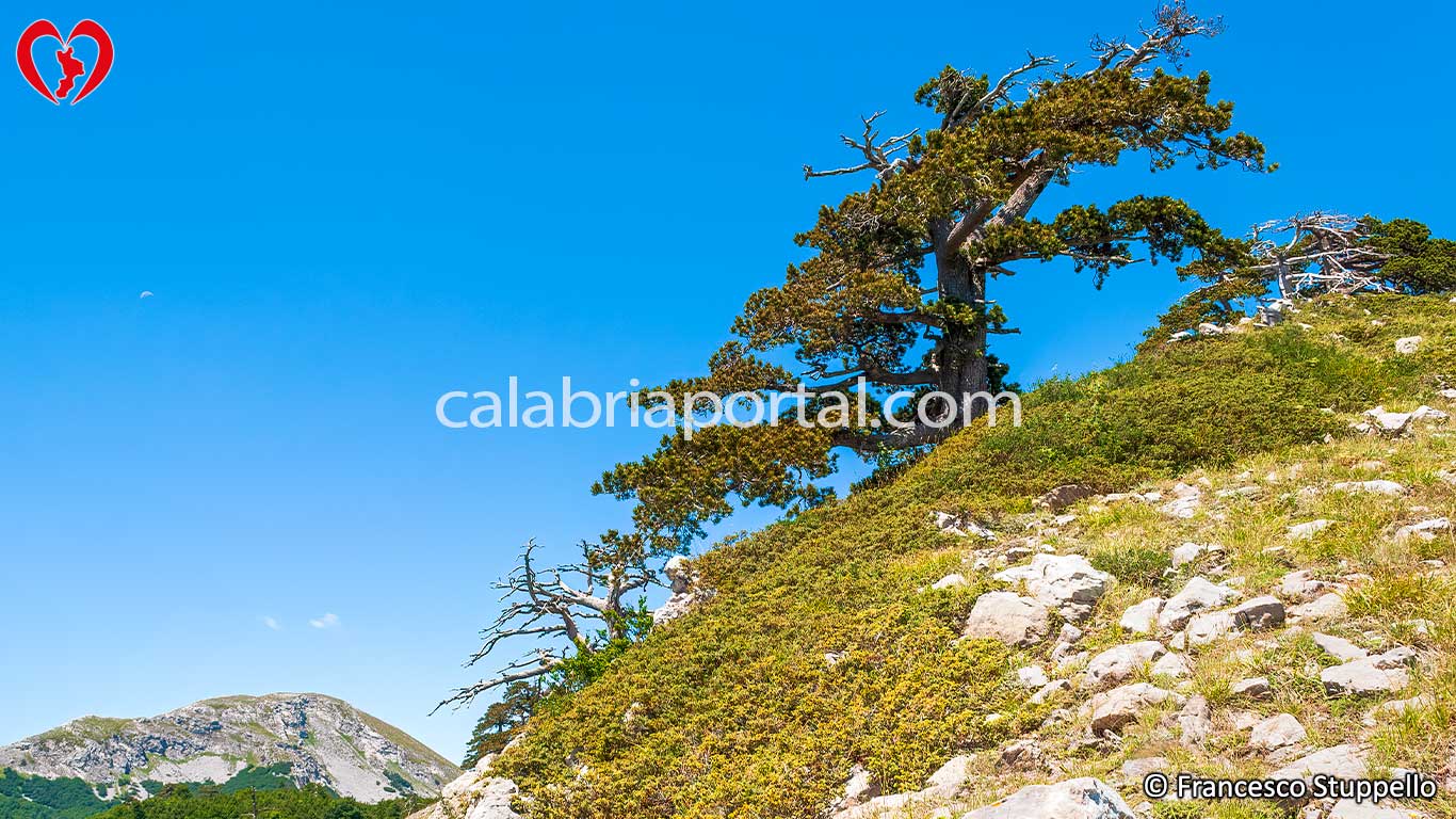 Escursione sul Monte Serra delle Ciavole Escursione sul Monte Serra delle Ciavole