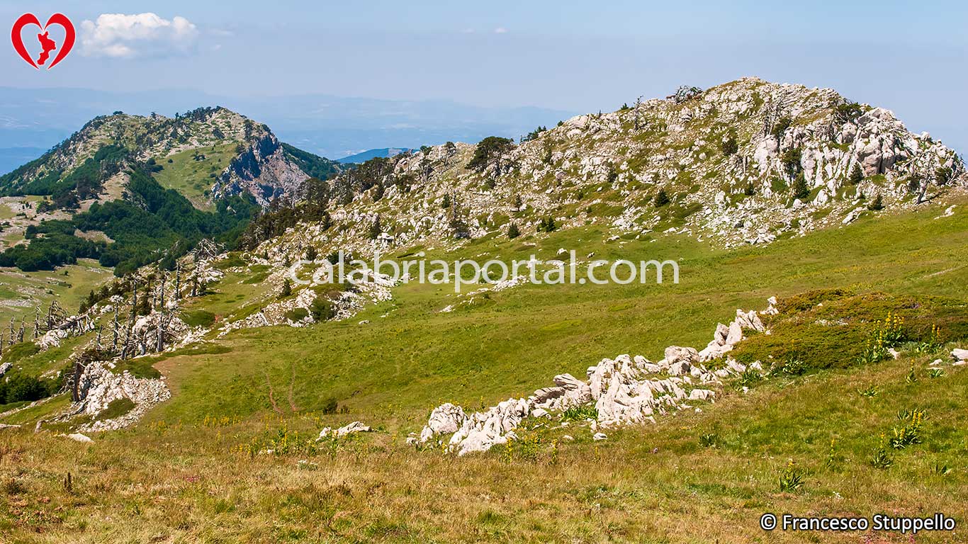 Vetta del Monte Serra delle Ciavole - Massiccio del Pollino Vetta del Monte Serra delle Ciavole - Massiccio del Pollino
