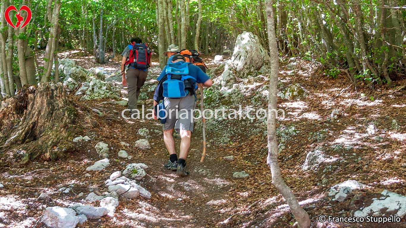 Escursione sul Monte Serra Dolcedorme Escursione sul Monte Serra Dolcedorme