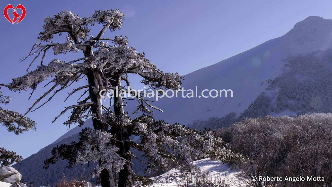 La Neve sul Monte Serra Dolcedorme La Neve sul Monte Serra Dolcedorme