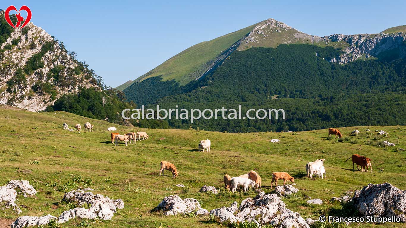 Il Serra Dolcedorme visto dai Piani del Pollino Il Serra Dolcedorme visto dai Piani del Pollino
