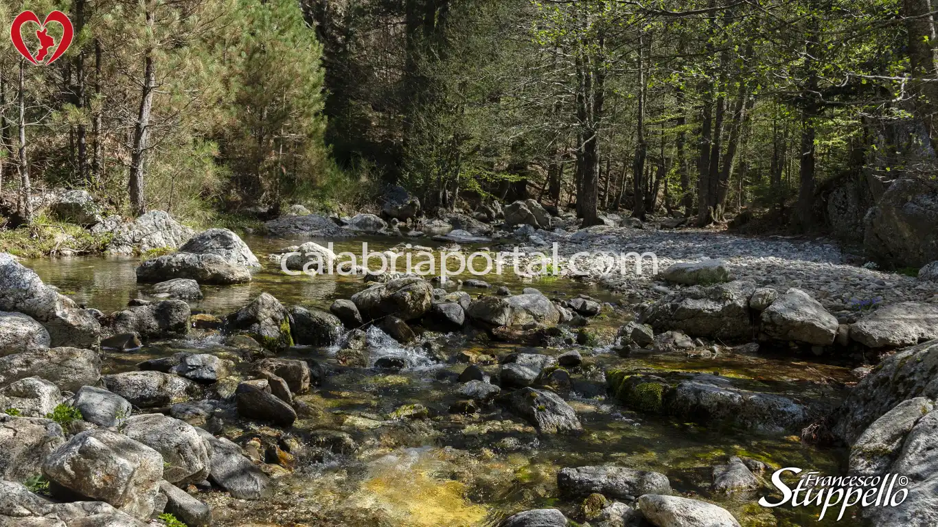 Corso dell'Amendolea prima di ricevere le acque del Torrente Menta Corso dell'Amendolea prima di ricevere le acque del Torrente Menta