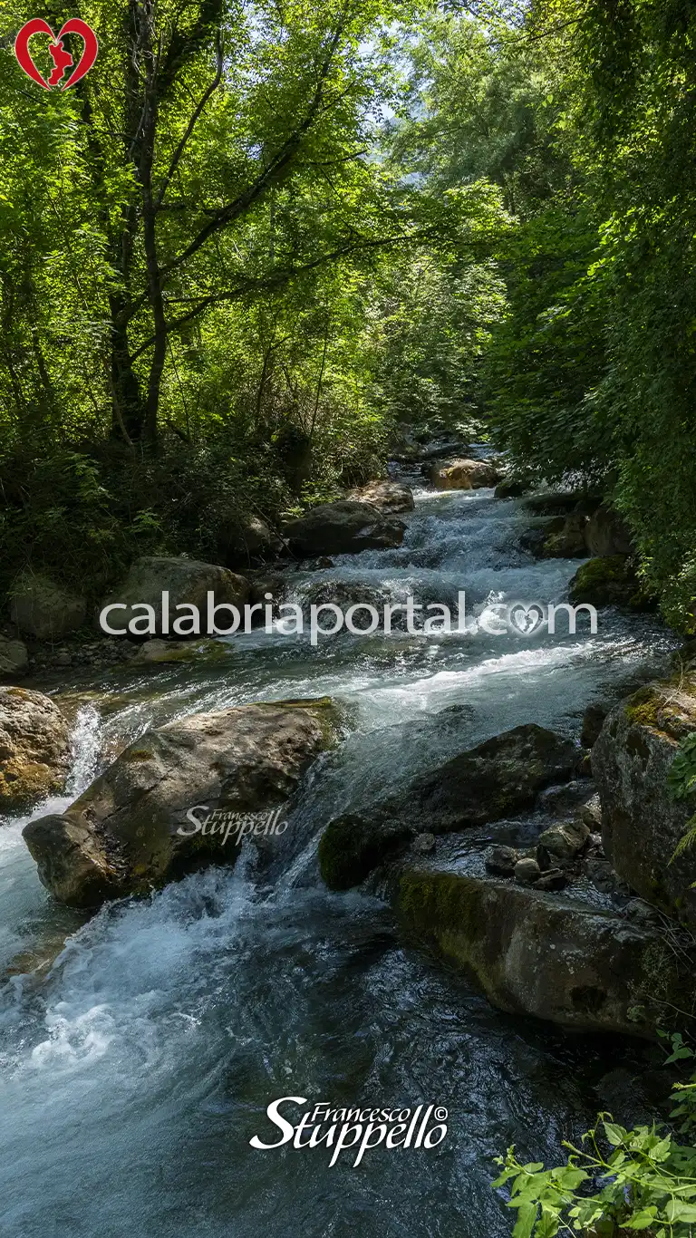 Scorcio del Fiume Argentino