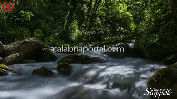 Fiume Argentino