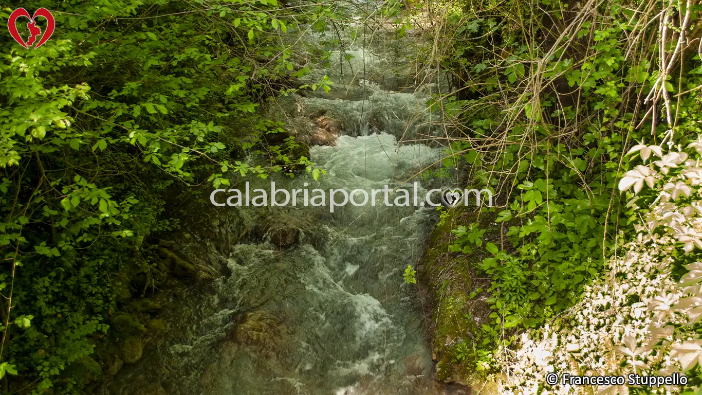 Scorcio della Fiumarella di Tortora presso Massacornuta