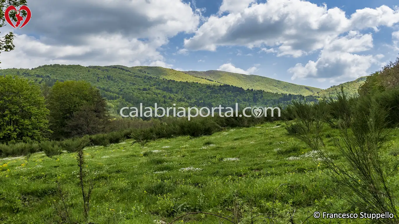 Il Versante del Monte Botte Donato in cui nasce il Fiume Neto Il Versante del Monte Botte Donato in cui nasce il Fiume Neto