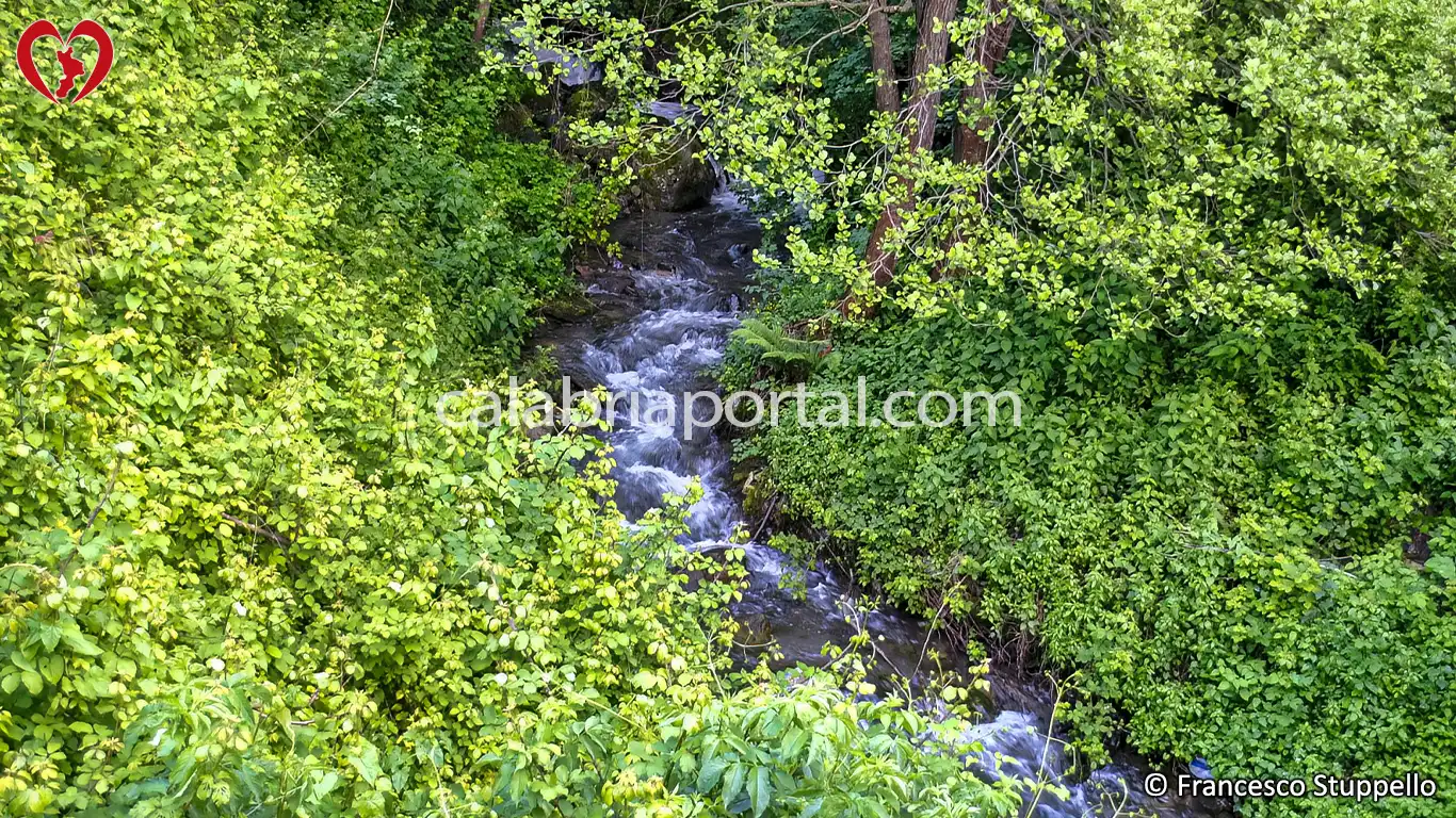 La Valle del Fiume Licetto in Calabria La Valle del Fiume Licetto in Calabria