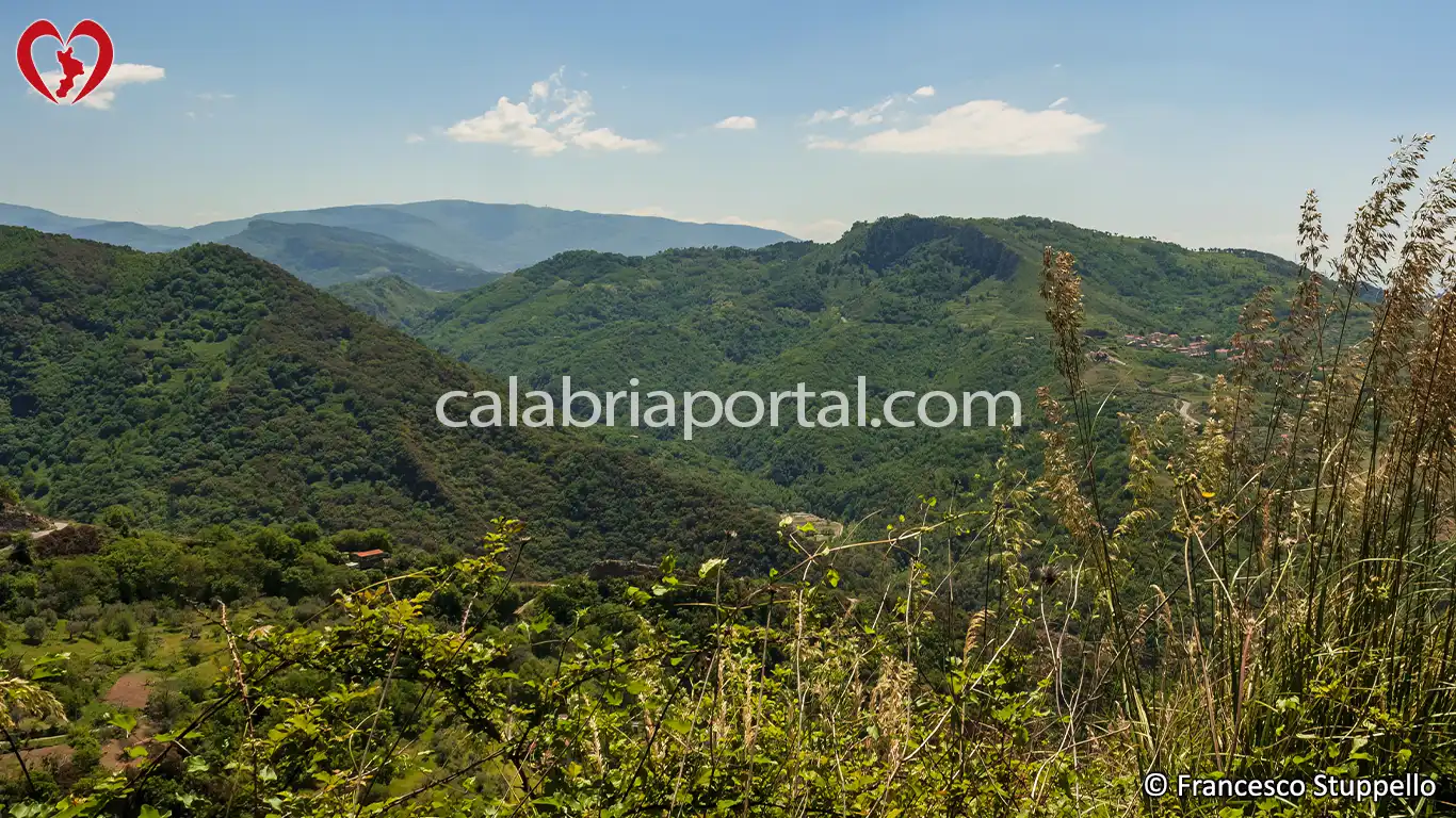 La Valle del Fiume Licetto in Calabria La Valle del Fiume Licetto in Calabria