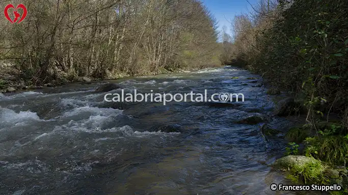 Fiume Savuto