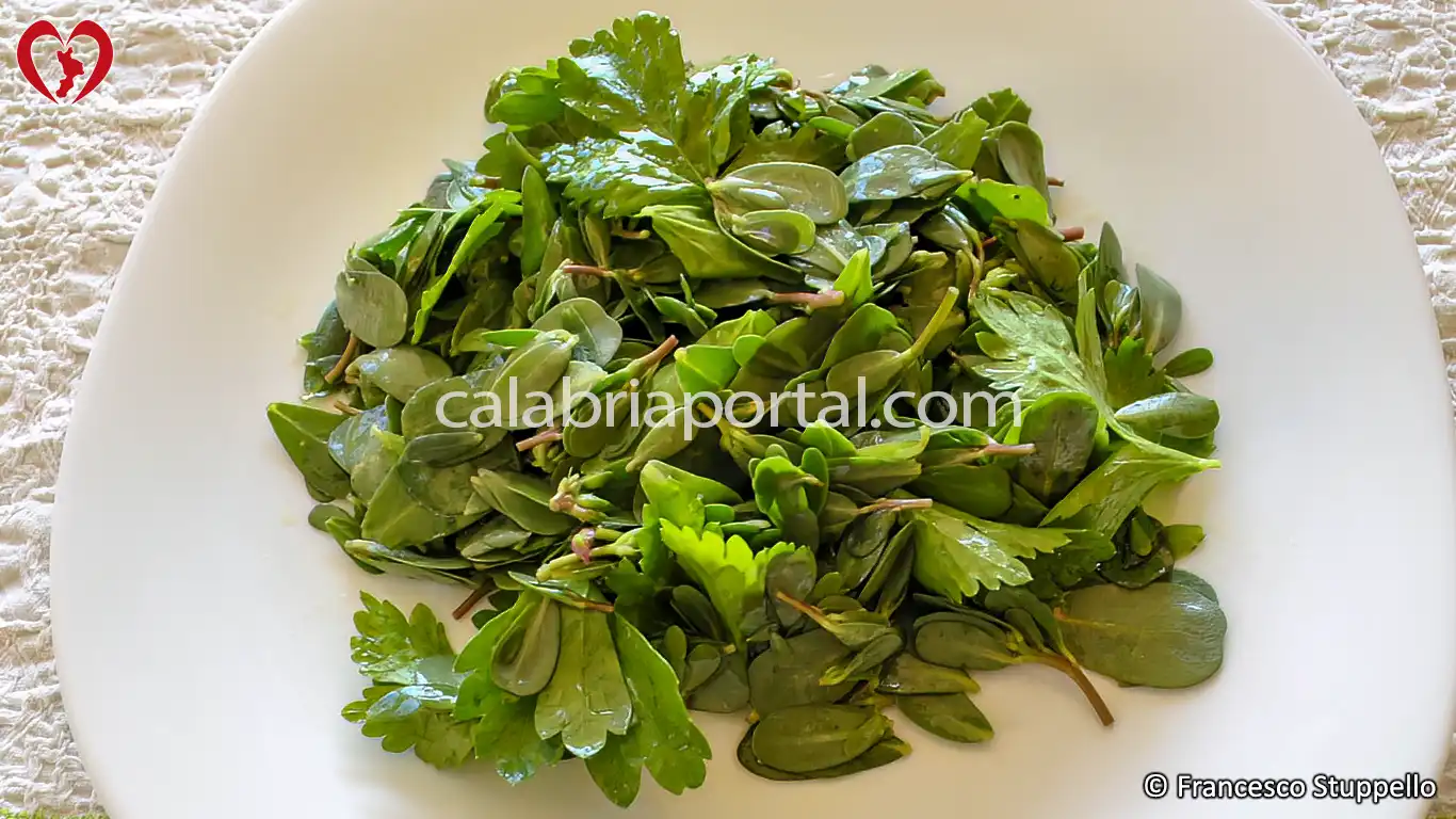 Ricetta dell'Insalata di Portulaca alla Calabrese Ricetta dell'Insalata di Portulaca alla Calabrese