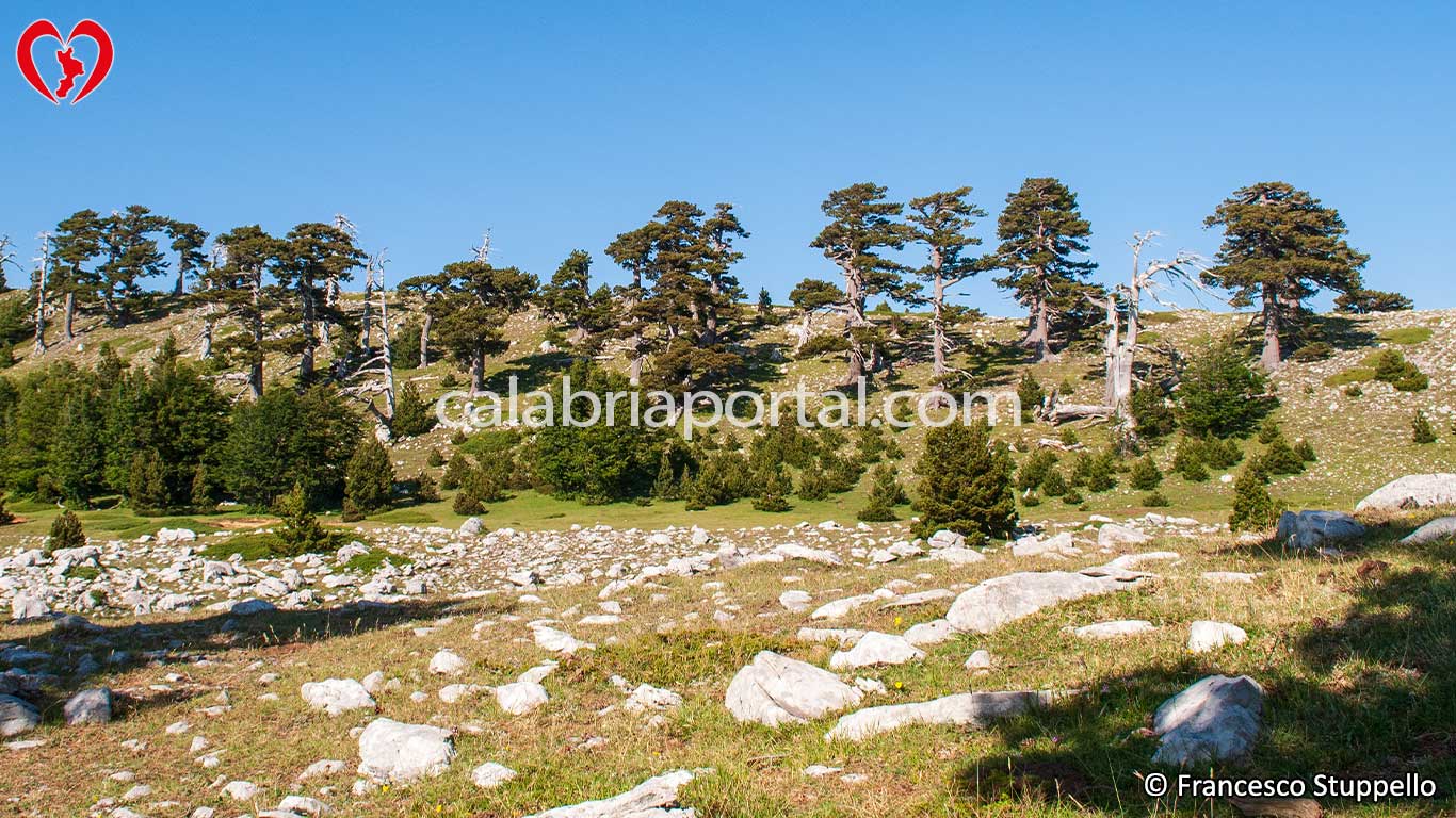 Giardino degli Dei - Parco Nazionale del Pollino