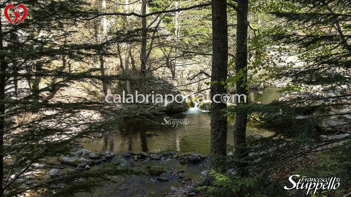 Scorcio della Fiumara Amendolea nel Parco Nazionale dell'Aspromonte